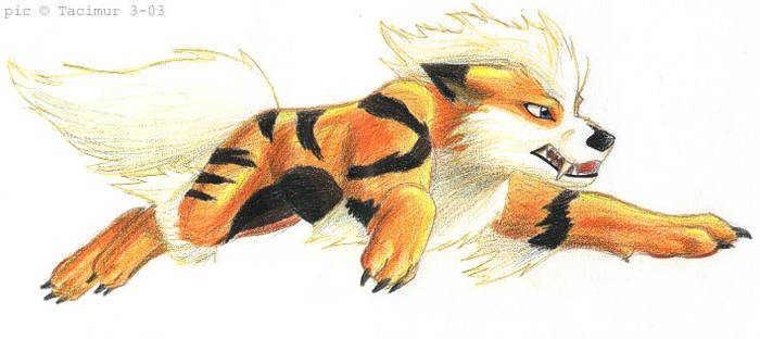 Leaping Arcanine