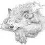 Sleeping Arcanine sketch