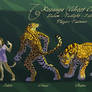 Balam 5 forms
