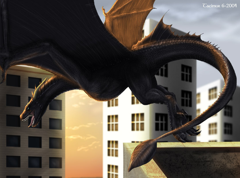 City Wyvern by Tacimur