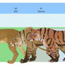 Meet the neighbors! (size chart)