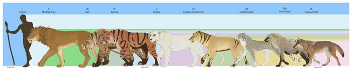 Meet the neighbors! (size chart)