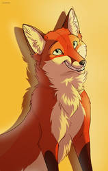 Fluffy fox avatar