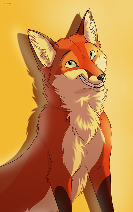 Fluffy fox avatar