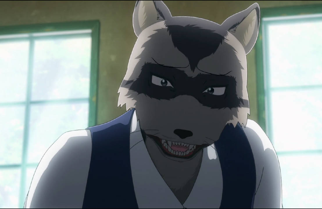 Beastars Cute Raccoon Boi by Shorca on DeviantArt