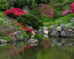 A pond at Japanese House