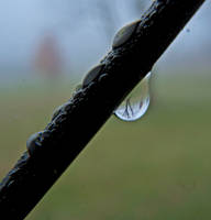 A foggy morning