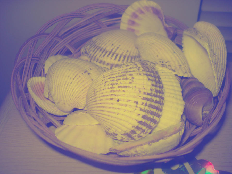 Shells by Mindynguyen1234 on DeviantArt