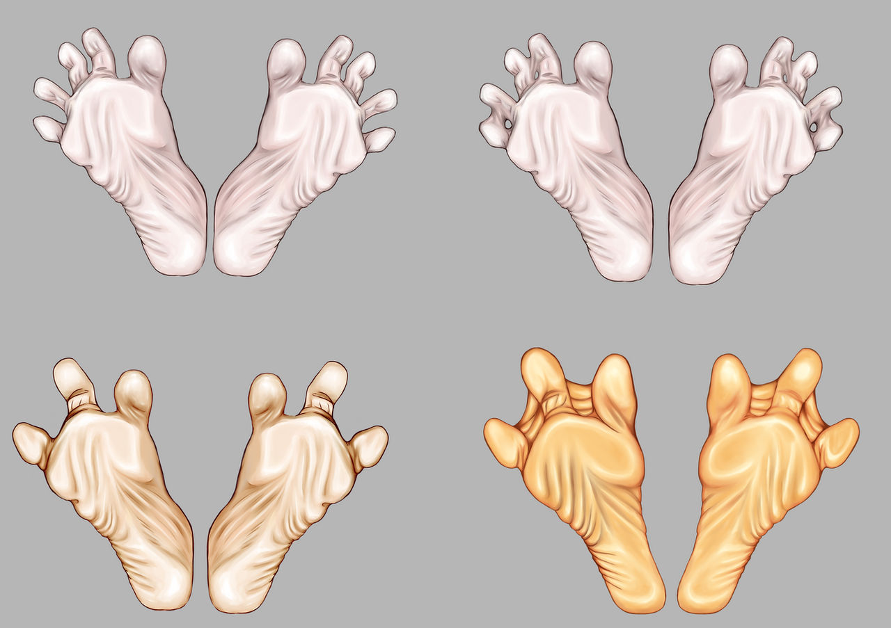 Feet Transform Foot to palmate Transformation by Fren-Z on DeviantArt