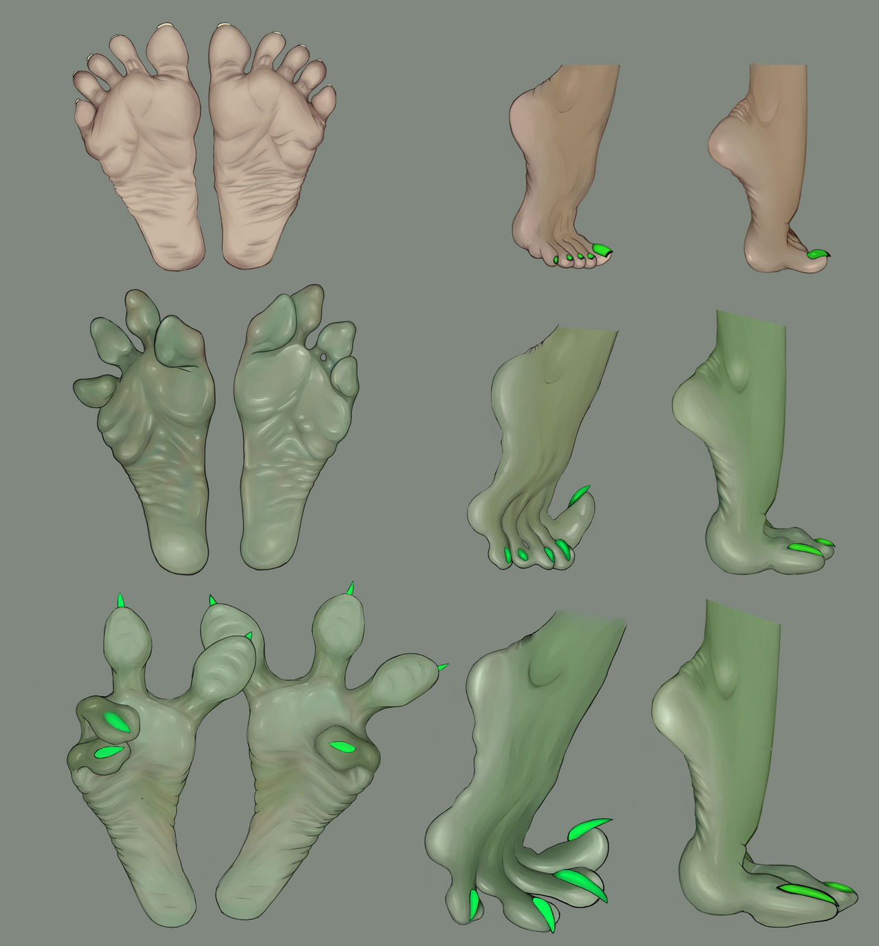 Feet Transform Foot to Setae foot Transformation by Fren-Z on DeviantArt