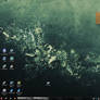My Desktop 2011