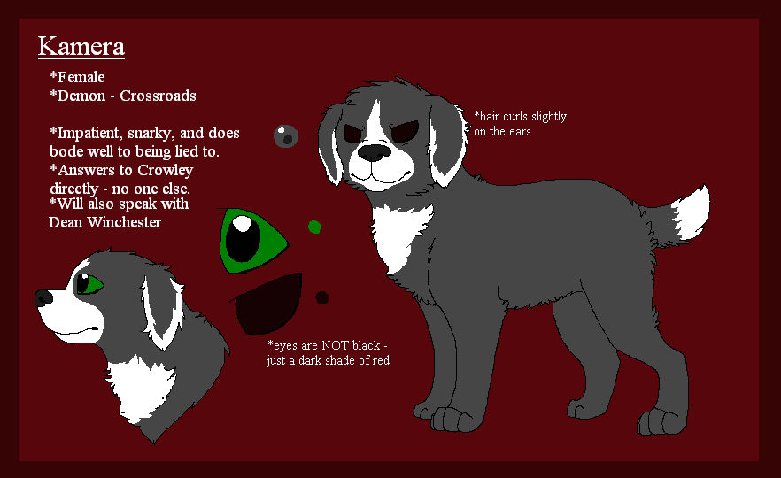 Demon Reference Sheet Demon!Kamera Reference Sheet by BanditKat on DeviantArt