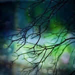 morning by f3ndee