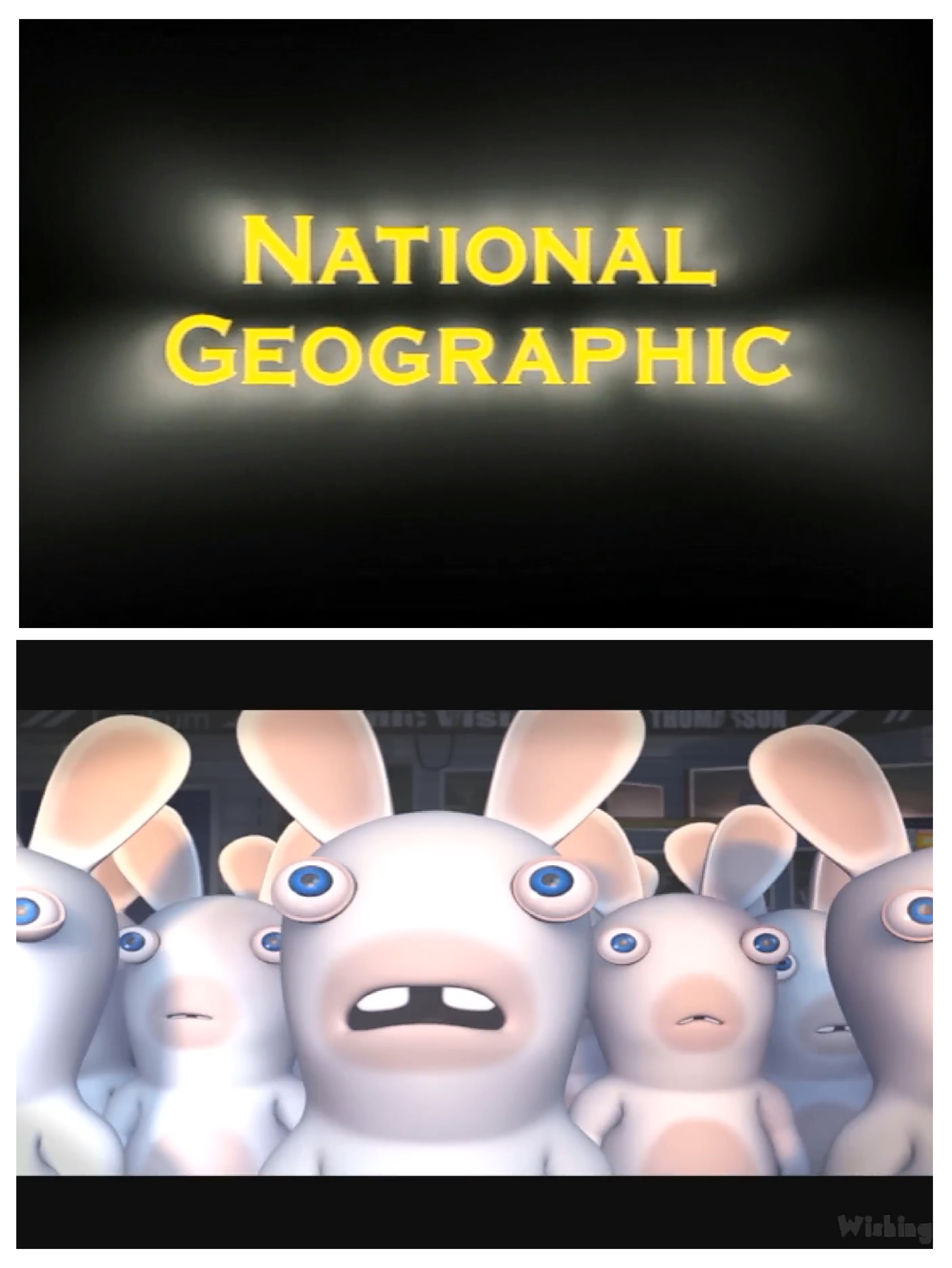 Nickelodeon Rabbids Deviantart The rabbids watch welcome to national geographic by 7kr on DeviantArt