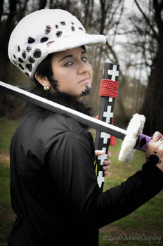 Trafalgar Law - ready