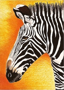 Day 23: Grevy's Zebra ACEO