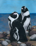 African Penguins by whitetippedwaves