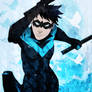 Nightwing Kick