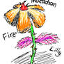 Phocadian Fire Lilly