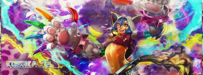 Koshka T3 FB Cover