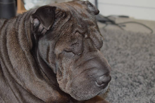 One Big Wrinkle