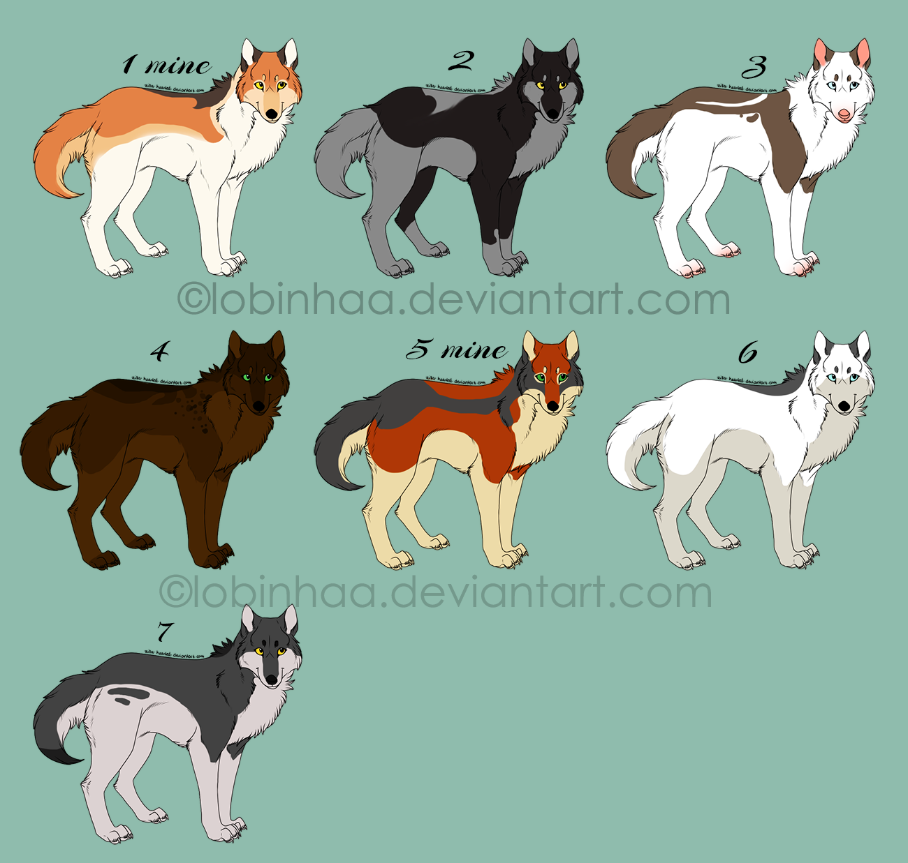 wolf adopt CLOSED