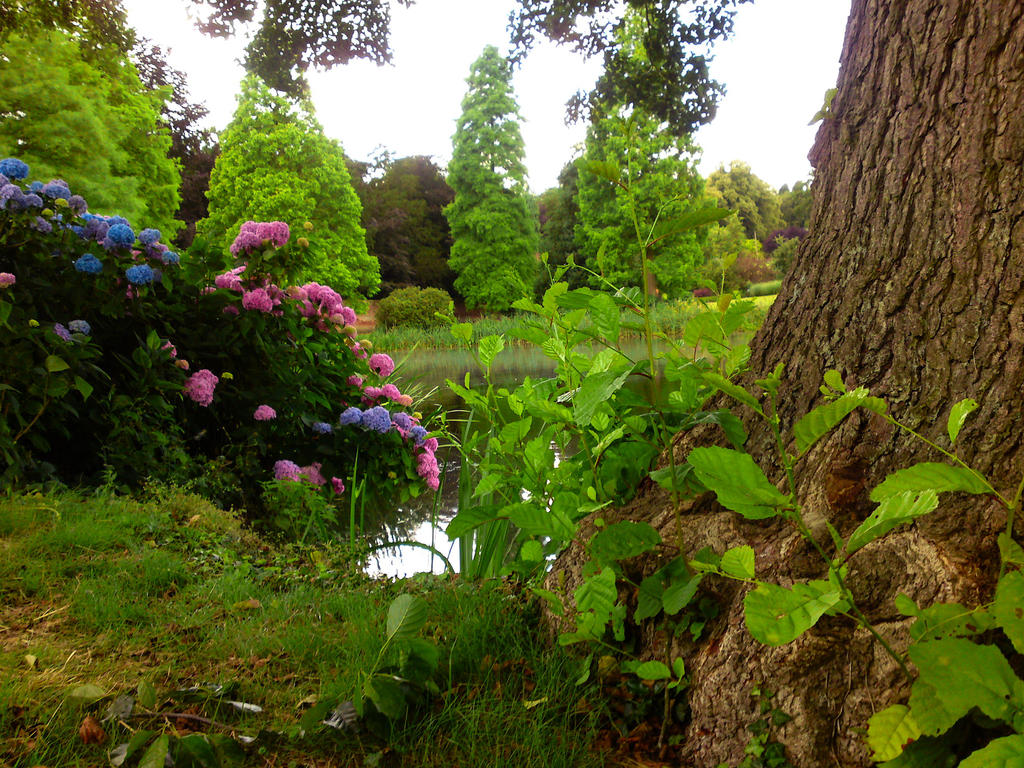 flowers,tree,foreground stock