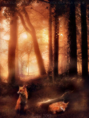 sunset wood by L-A-Addams-Art