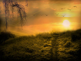 Premade Background- ''across The New Divide''