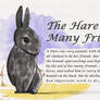 The Hare with Many Friends
