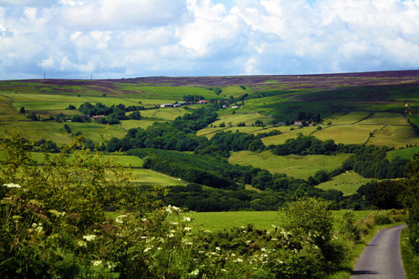 Yorkshire Dales 4