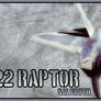 F-22 Raptor