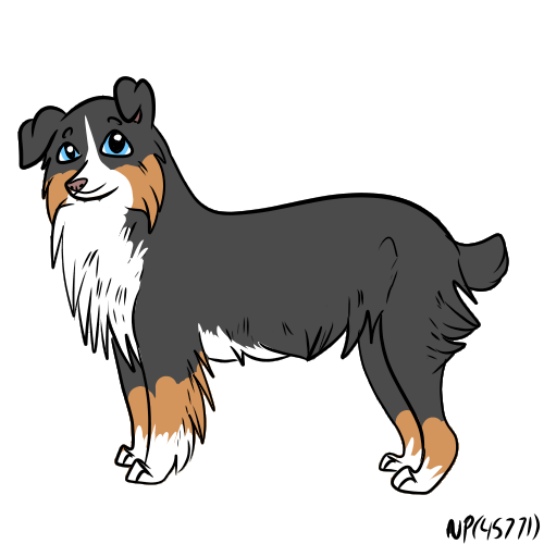 Sheepdog by DemonaTheOperator