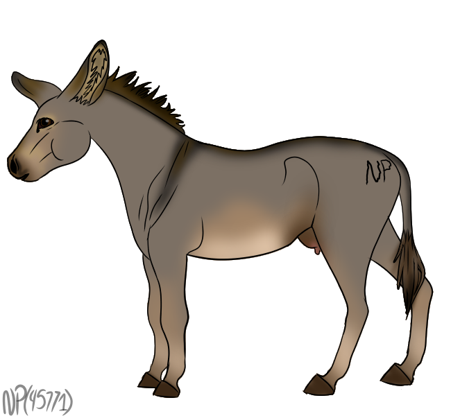 Donkey Mare1 by DemonaTheOperator