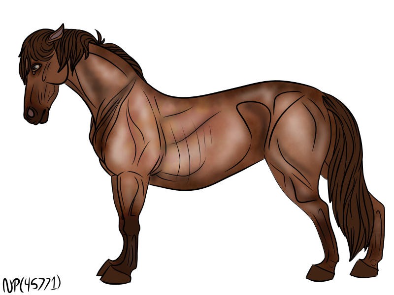 New Forest Pony by DemonaTheOperator