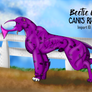 BC Canis Rhinus ID: 667Q