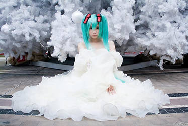 Cosplay - Miku