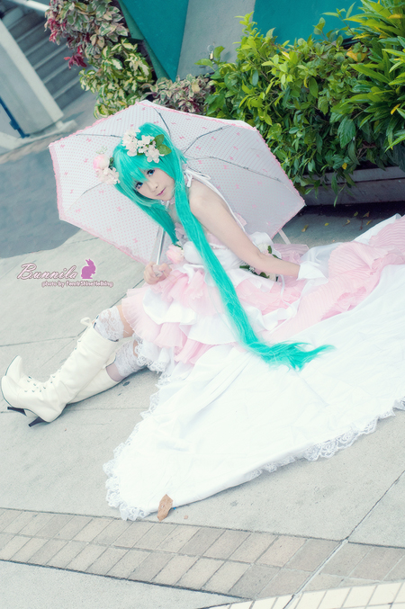 Cosplay - Miku Vocaloid2