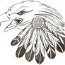 Eagle feathers