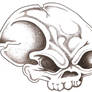 Skull4