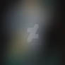 Furry Fantasy 236186894
