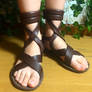 Zeldas Sandals (BotW)