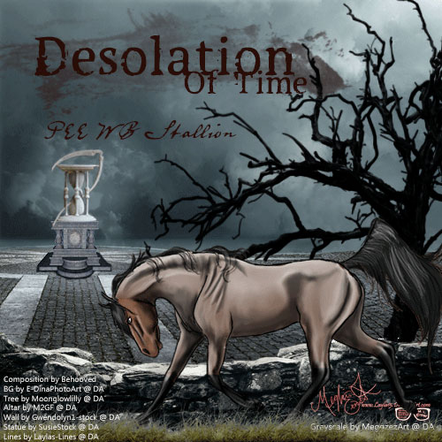 Desolation-of-Time