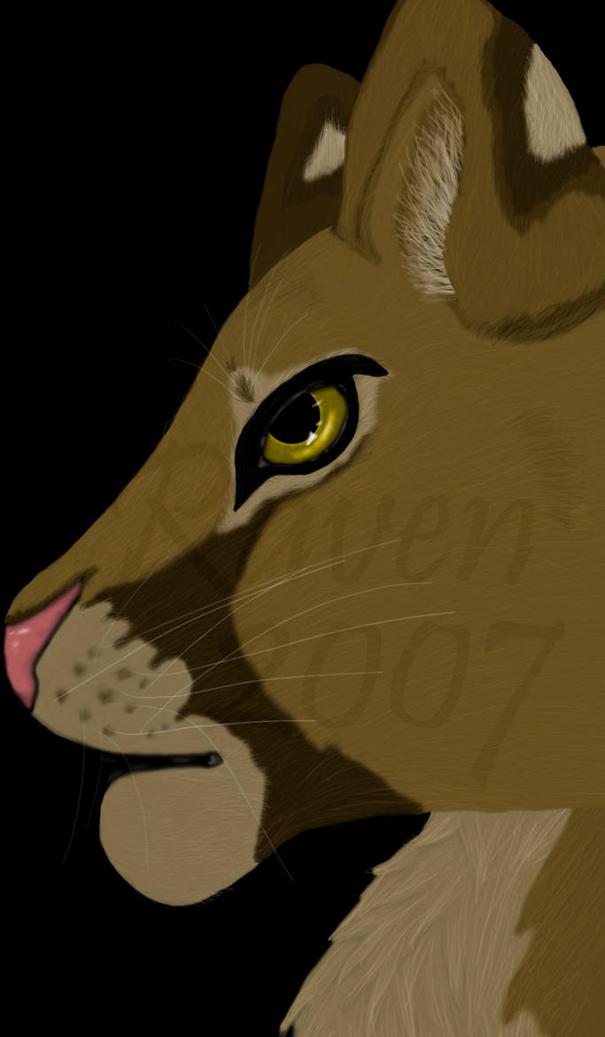 Puma by littleblackbird150 on DeviantArt
