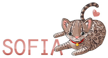 Sofia's Ocelot