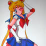 sailor moon pinup