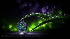 The Many Hidden Worlds Inside a Drop of Water 1