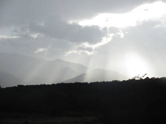 Stormy Silhouette