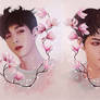 Lay and Sehun with Flowers Wallpaper