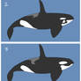 Orca - Adoptables #3 (CLOSED)